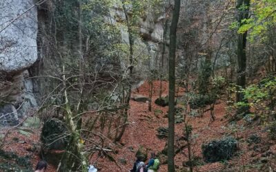 Bufadors de Beví i Salt del Molí, Bisaura (Osona – Ripollès)