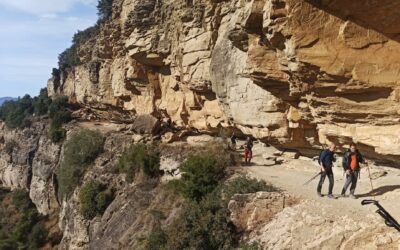Turó de les Onze (666 m), Cingles de Bertí (Vallès Oriental – Moianès)