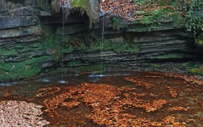 Torrent de la Masica, Font de la Tosca. Vallfogona de Ripollès (Ripollès)