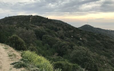 Serra de Marina (Barcelonès)