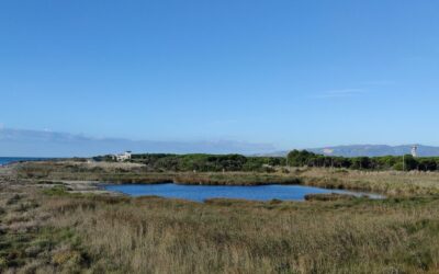 Delta del Llobregat (Baix Llobregat)