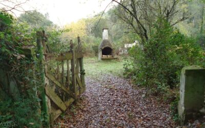 Collserola de Cerdanyola (Vallès Occidental)