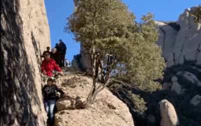 Montgròs en travessia de Santa Cecília a Can Massana, Montserrat (Bages)