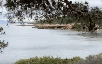 De l’Ametlla de Mar al Perelló pel camí de ronda (Baix Ebre)