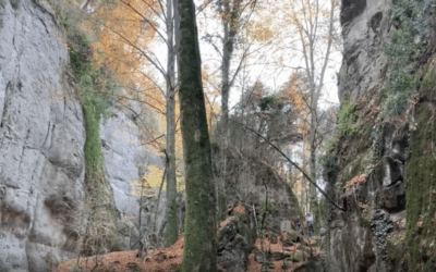 Bufadors de Beví i Salt del Molí. Bisaura (Osona – Ripollès)