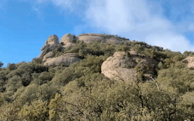 L’Albarda Castellana des de la Vinya Nova, Montserrat Sud (Baix Llobregat)