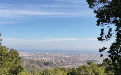 Corriols de Collserola (Barcelonès)