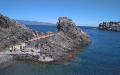 Cap de Creus (Alt Empordà)