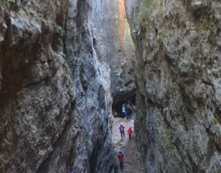 Avencs i avencots de la Febró, a la Mussara, Muntanyes de Prades (Baix camp)