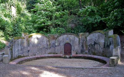 Collserola obaga (Barcelonès)