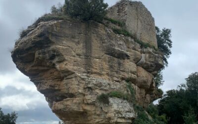 Fageda de Sauva Negra i Castell de Popa, Castellcir (Moianès)