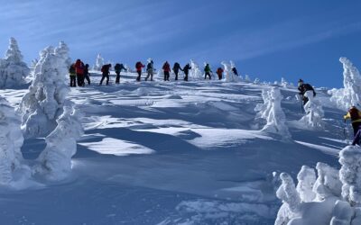 Tossa Pelada (2374 m) i Pedró dels Quatre Batlles (2383 m), (Alt Urgell