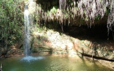 Salts de Cabrera d’Anoia. (Anoia)